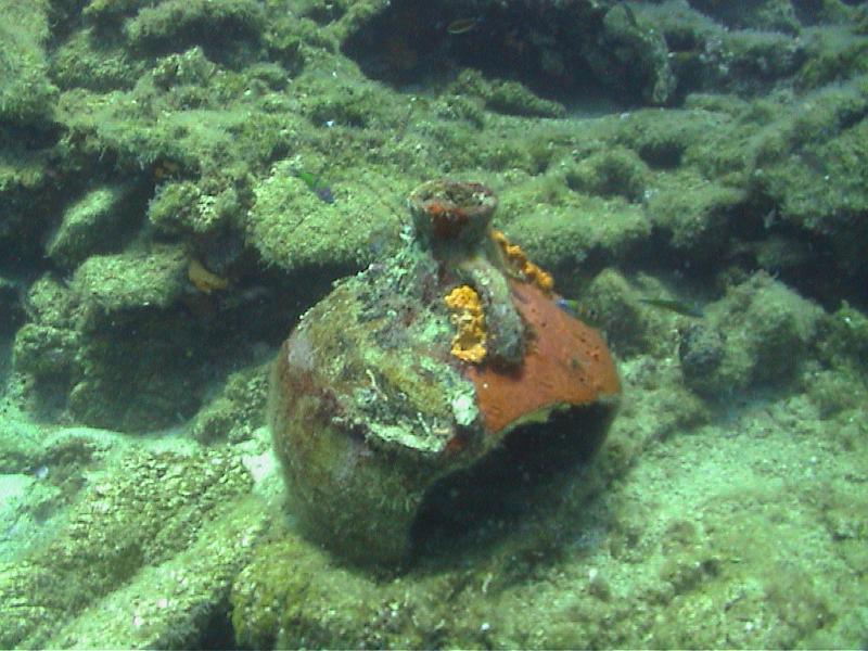 Coll TU 029.jpg